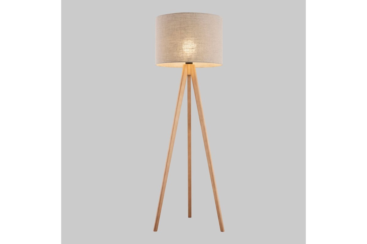 Modern Floor Lamp