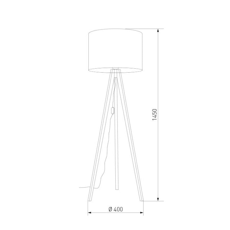 Modern Floor Lamp