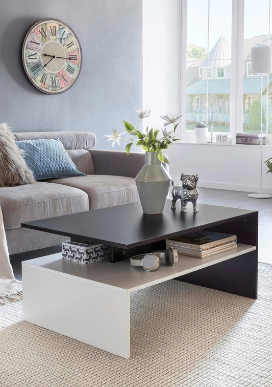 Modern Black & White Coffee table 100x50x45