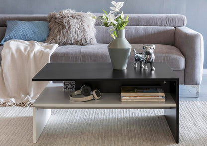 Modern Black & White Coffee table 100x50x45