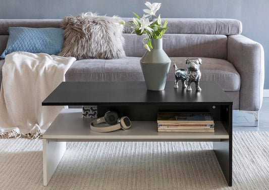 Modern Black & White Coffee table 100x50x45